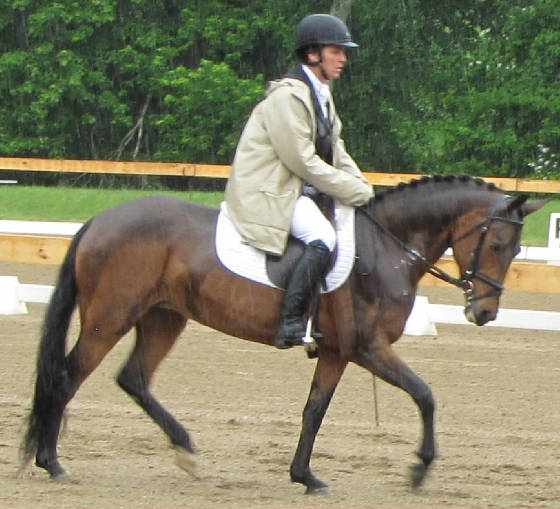 MVHC_trot2inrain_June11_2016_crop.jpg